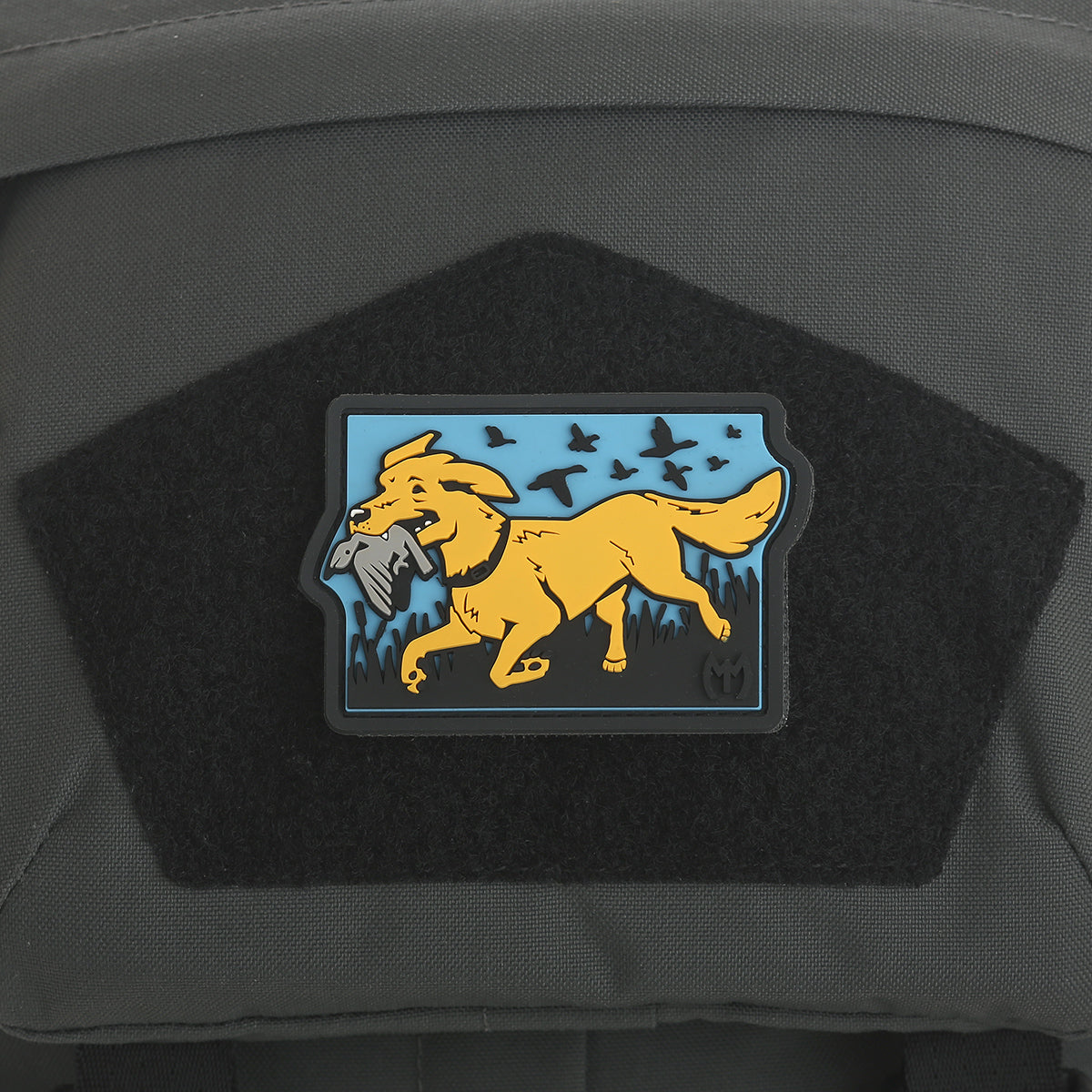 Retriever
